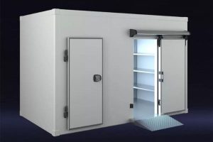 Nên đầu tư kho lạnh mini hay tủ đông lạnh thông thường để kinh doanh? 